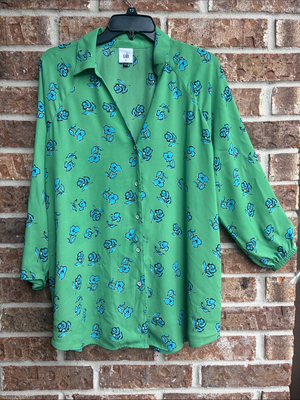 CAbi Green Blouse with Blue Floral Print